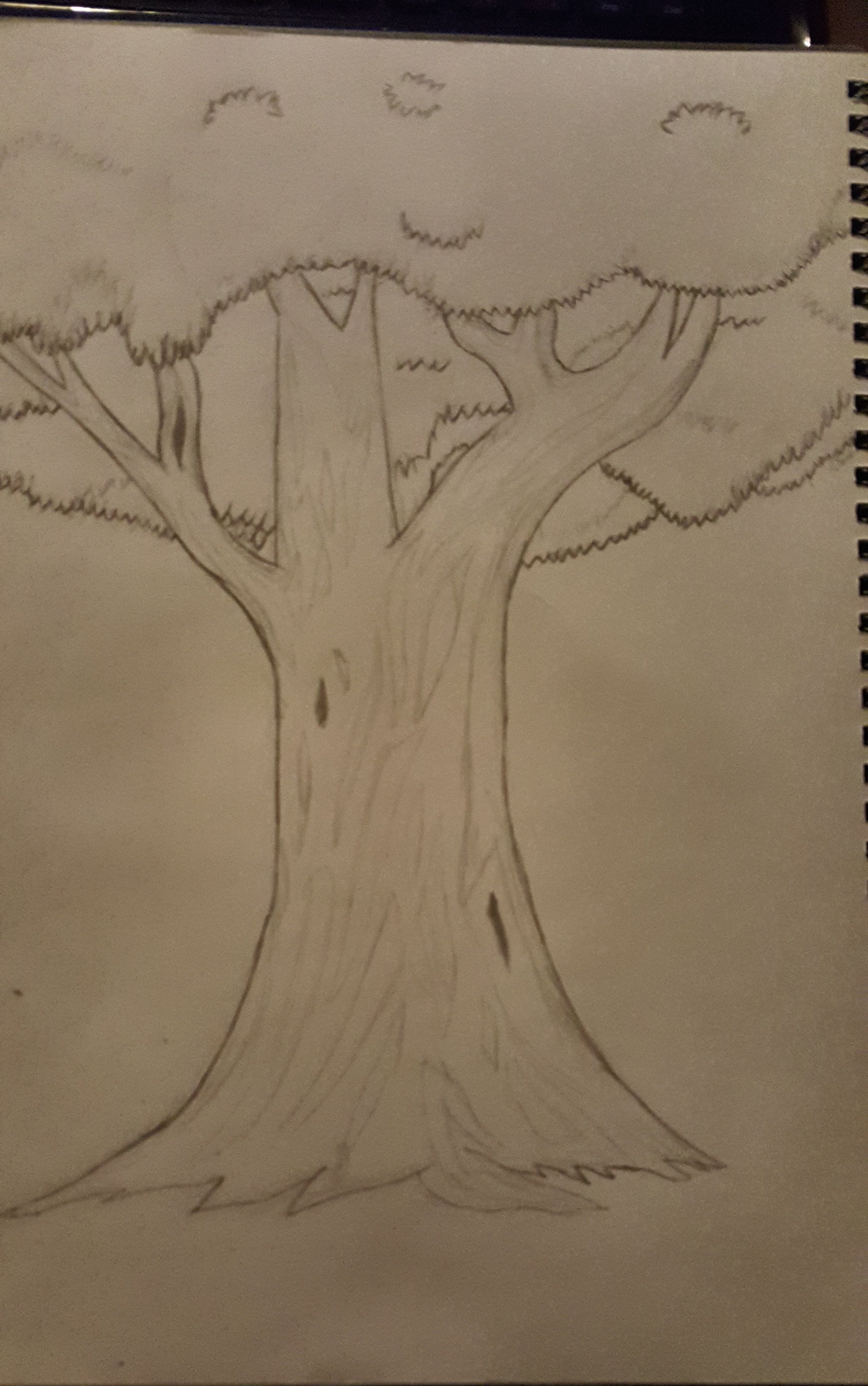 Pencil drawing of a tree